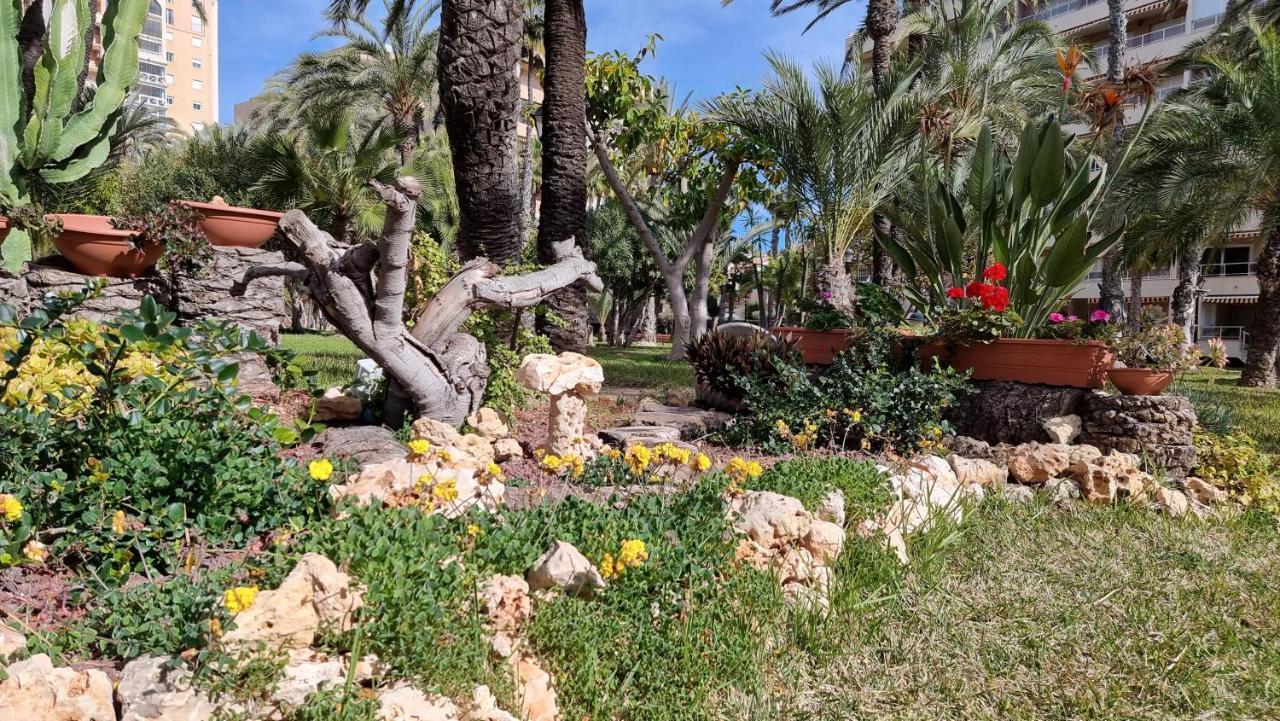 Apartament Palm Beach-El Palmeral トレビエハ エクステリア 写真